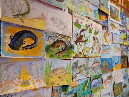 Рисунок на конкурс чистый взгляд