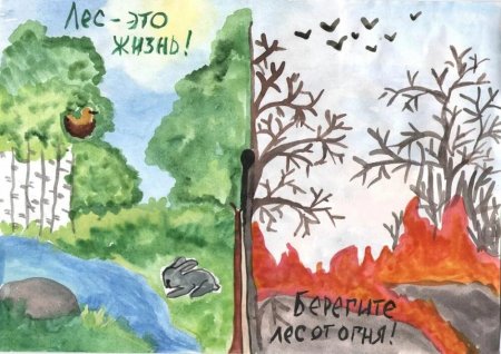 Берегите лес от пожара рисунки