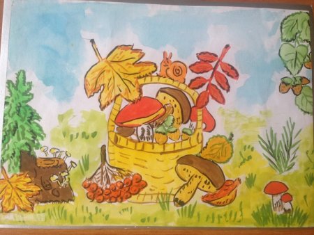 Дары природы рисунок