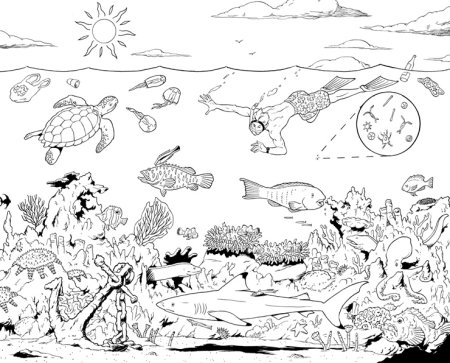 Коралловый риф раскраска