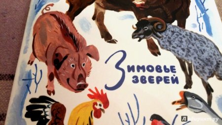 Рисунок к сказке зимовье