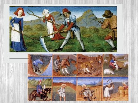 Средневековая деревня средневековые крестьяне