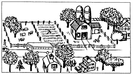 В деревне. Раскраска