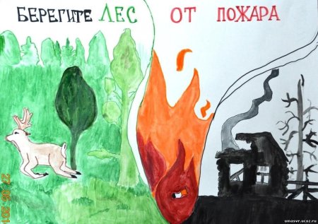 Рисунок на тему Лесные пожары