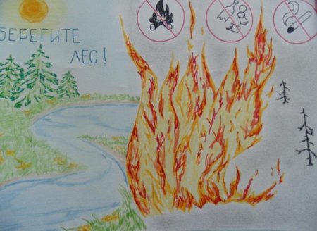 Рисунок на тему берегите лес от пожара