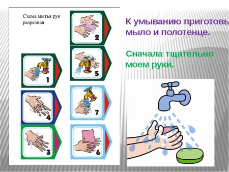 Гигиена рук для детей
