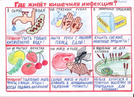 Профилактика кишечных инфекций