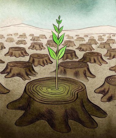 Экологическая живопись