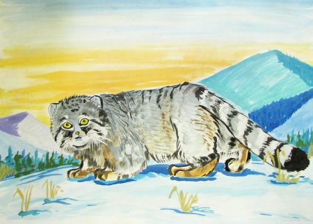 Нарисовать кота манула