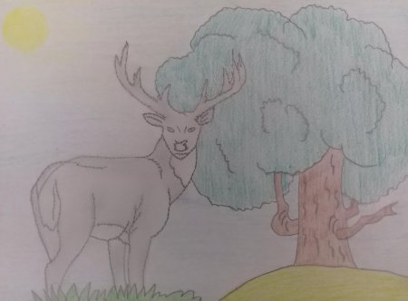 Забайкалье рисунок