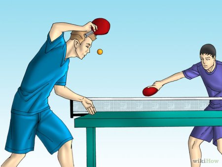 Пин понг и настольный теннис