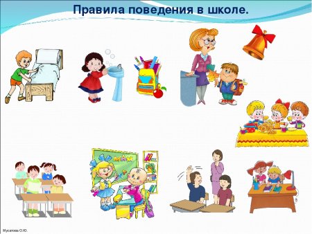 Правила поведения вшкле