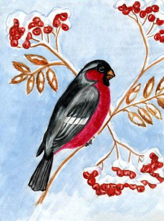 Рисунок зимующие птицы на конкурс