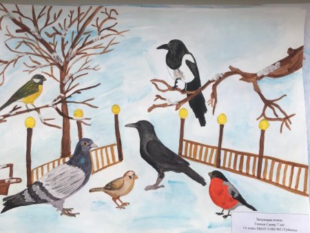 Зимующие птицы на кормушке