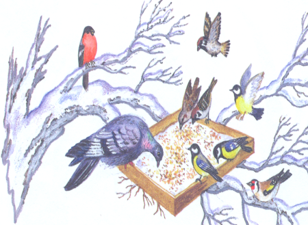 Плакат берегите птиц