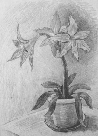 Цветочный натюрморт карандашом