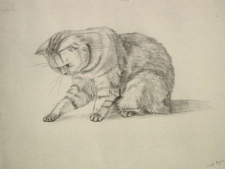 Графический пейзаж легкий