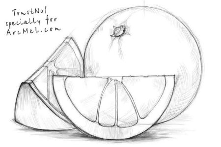 Рисунки карандашом на свободную тему