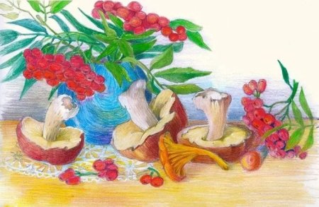 Рисование овощей и фруктов