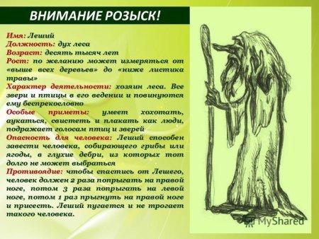 Старичок Боровичок Славянская мифология