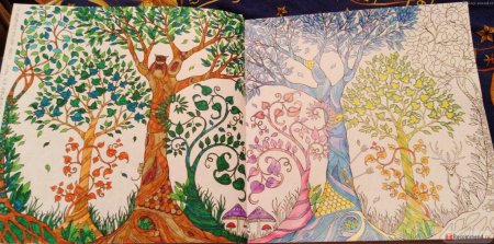 Зачарованный лес 1999