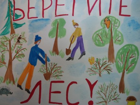 Рисование на тему лес наше богатство