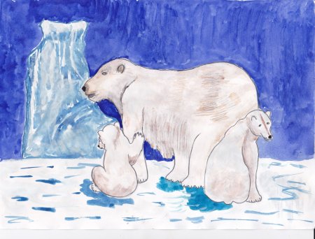 Белый медведь хозяин Арктики