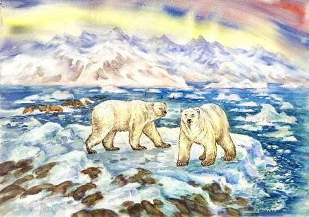 Рисование белого медведя