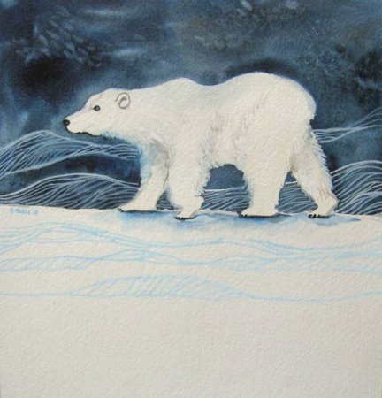 Животные севера раскраска для детей