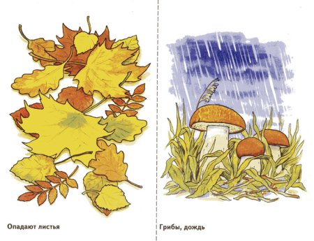 Дидактический материал осень