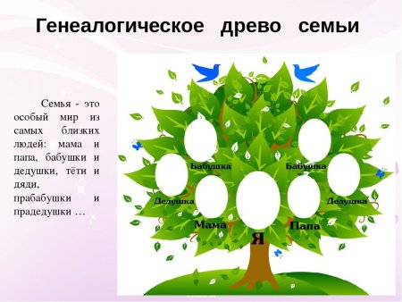 Генеалогическое Древо моей семьи