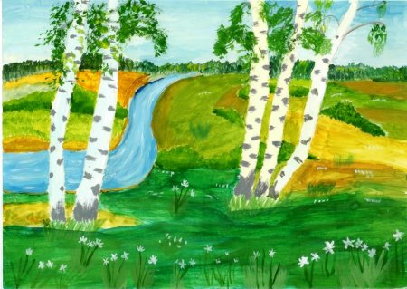 Рисунок край кудрявых берез