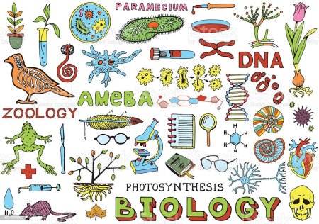 Наклейки биология