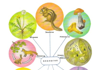Что изучает биология