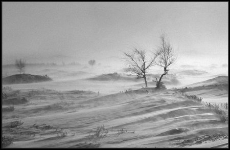 Рисунок к стихотворению буря мглою