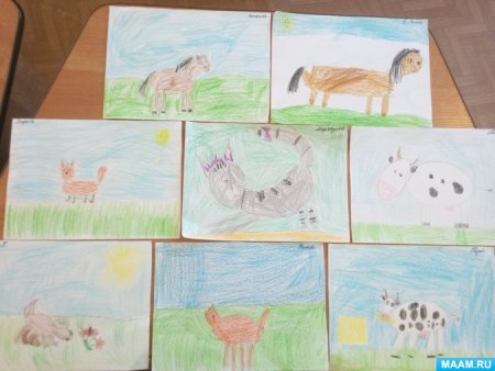 Рисование домашние животные подготовительная группа