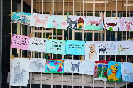 Поздравляем двух победителей конкурса по рисованию собак