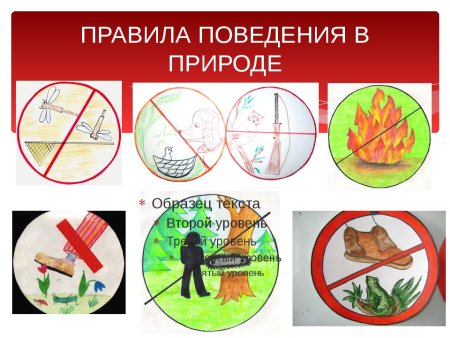 Правила поведения вмприроде