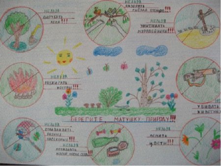 Рисунок правила проведения на природе