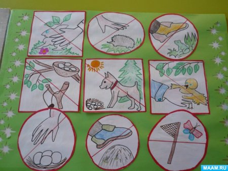 Рисование безопасность в природе