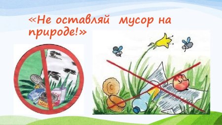 Не мусорить в лесу