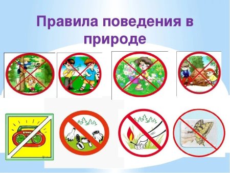 Правила поведения втприроде