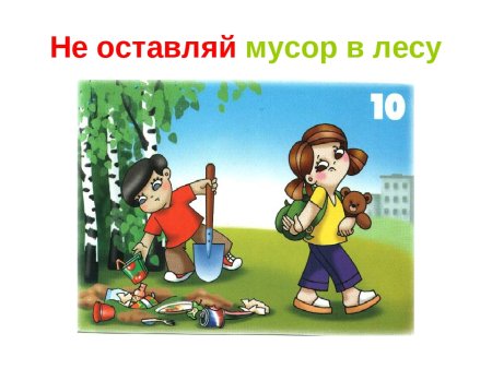 Не оставляй мусор в лесу
