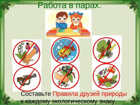 Правил поведения в природе