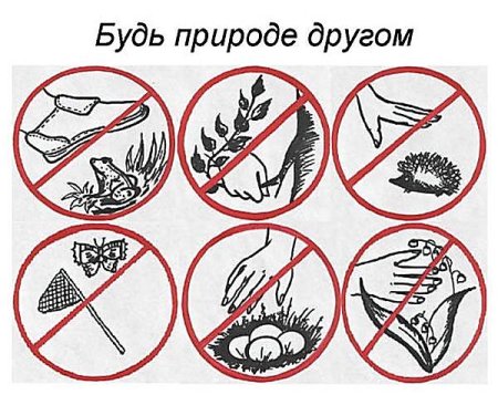 Знаки охраны природы