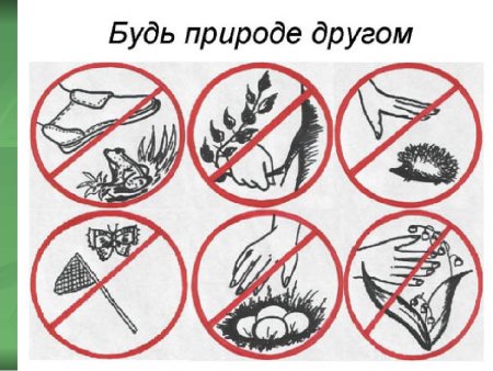 Экологические знаки