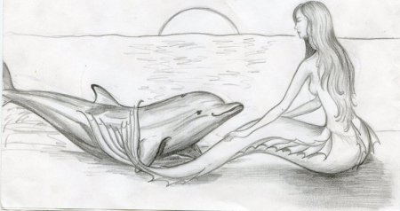 Рисование грибы