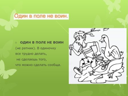 Один в поле не воин смысл пословицы