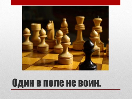 Один в поле не воин