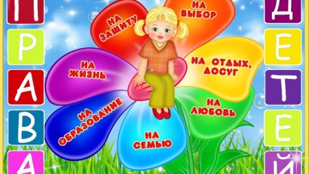 Рисунок на тему Мои права и обязанности